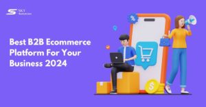 b2b-ecommerce-platform