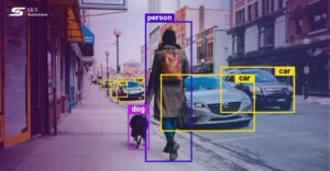 Computer Vision Challenges