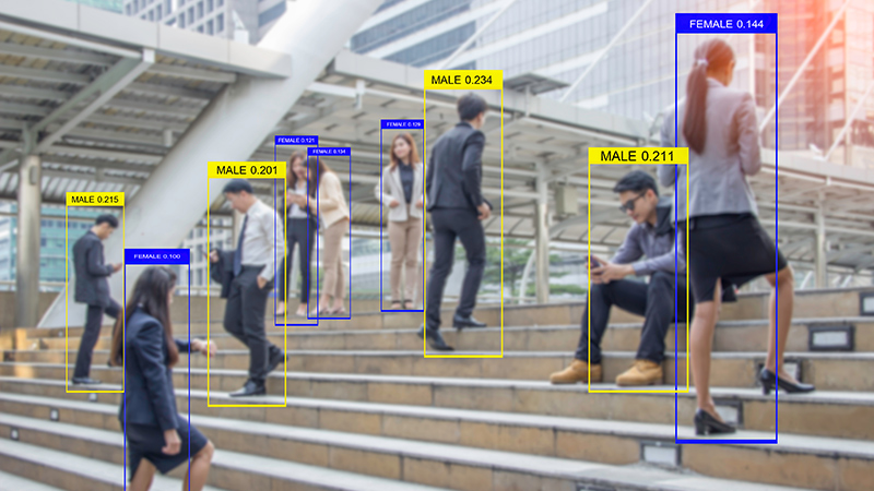 Computer Vision Challenges